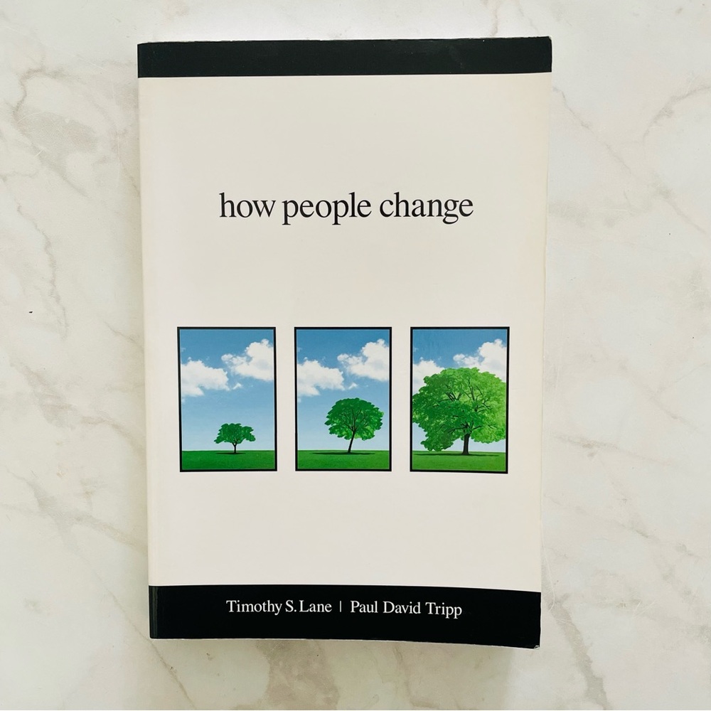 🎁 GOOD How People Change by Timothy S. Lane and Paul David Tripp Paperback